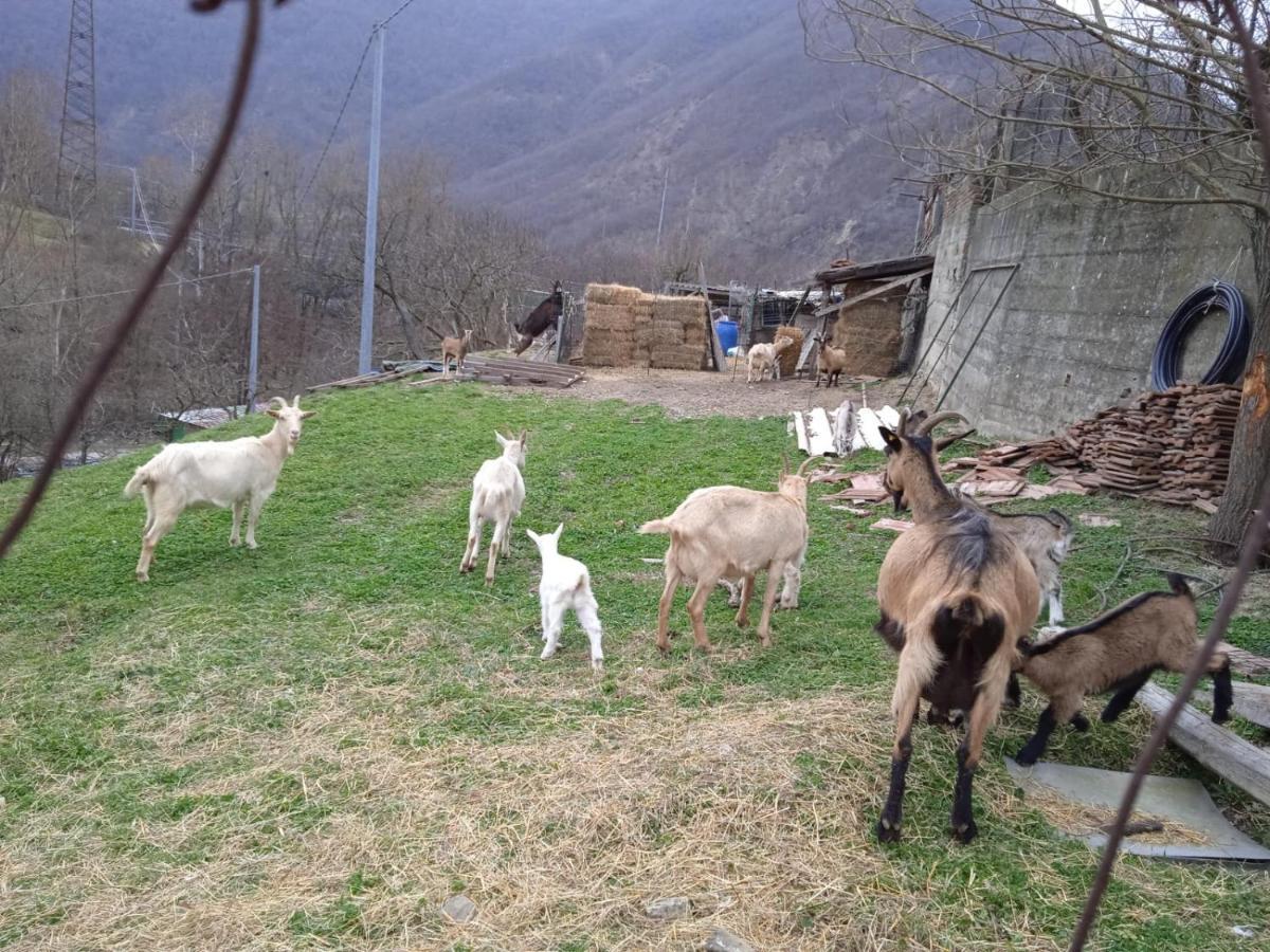 Вилла Milky'S House Isola del Cantone Экстерьер фото